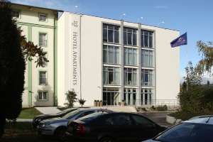 Golden Fish Golden Fish